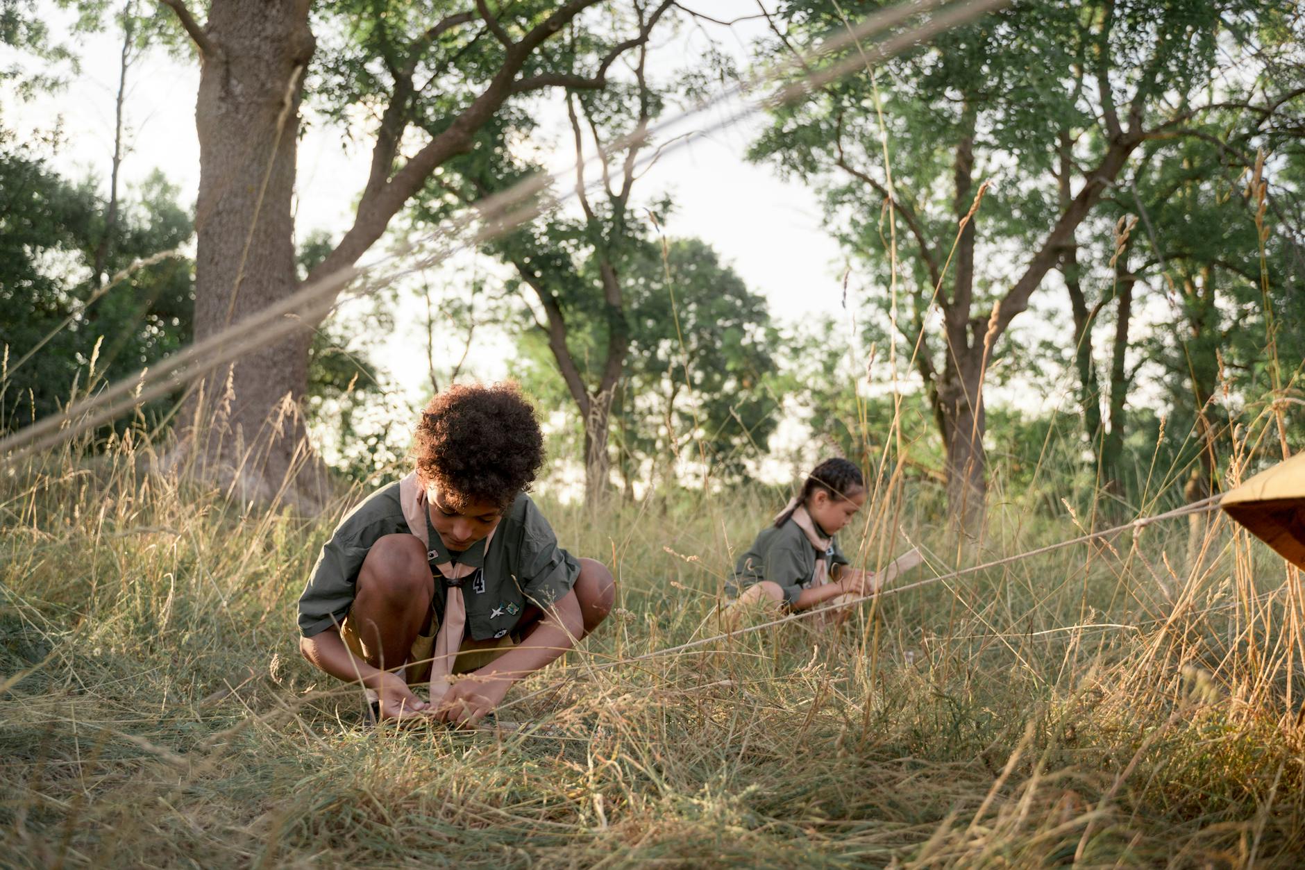 Zelte aufbauen im Wald
